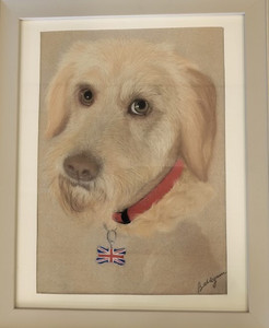 Milo, Retriever, by Brenda.jpg